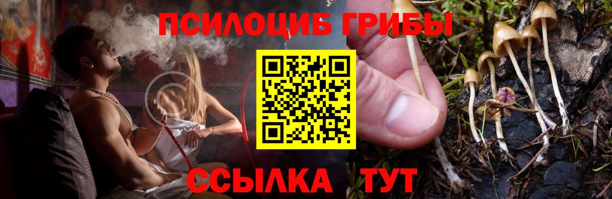 Пугачёв  купить наркоту  Вход с VPN  Псилоцибиновые грибы ЛСД 